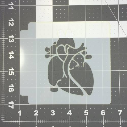 Anatomical Heart Stencil 100