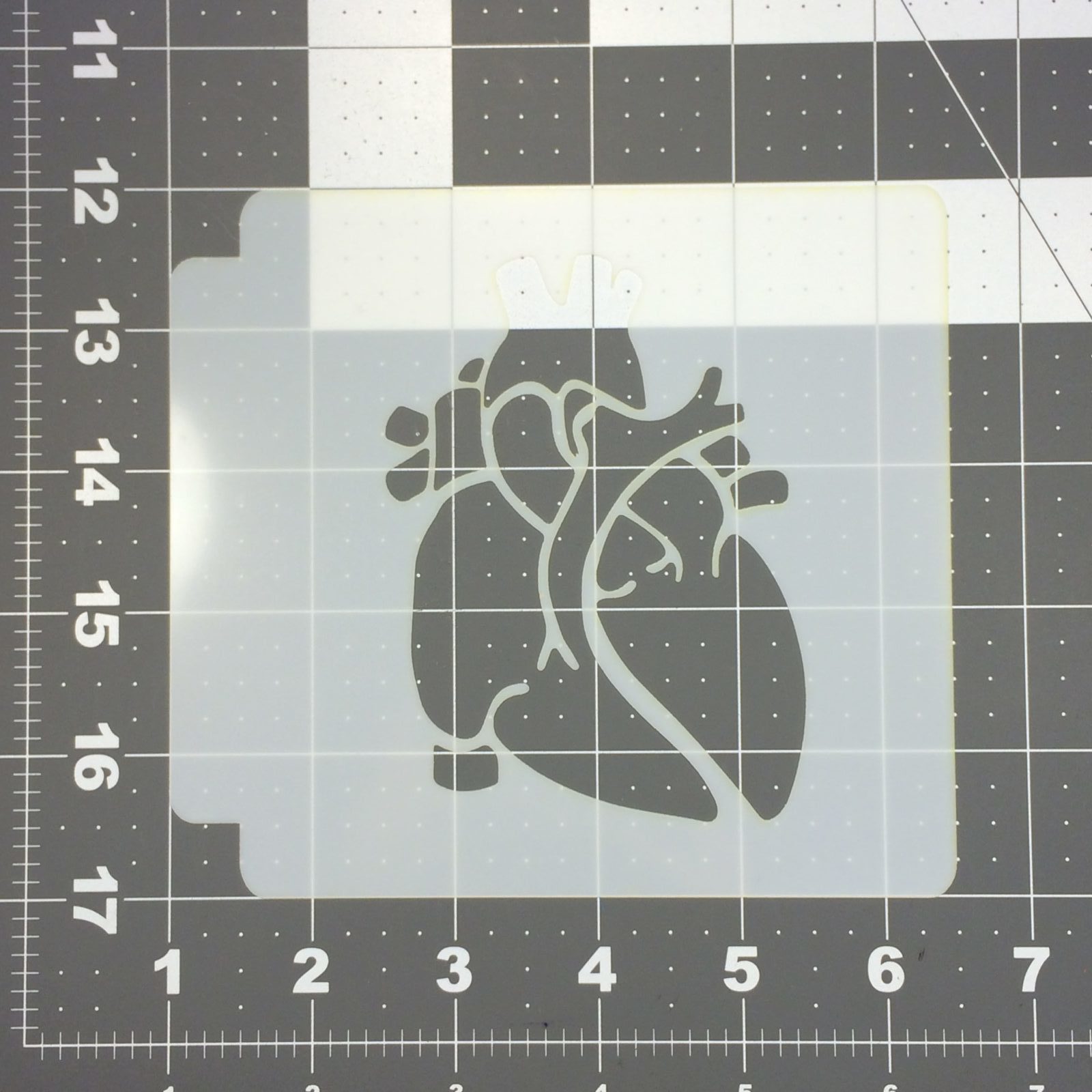 Anatomical Heart Stencil 100