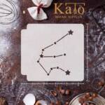 Aquarius Constellation 783-A156 Stencil